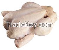 Processed Halal Certified Frozen Whole Chicken