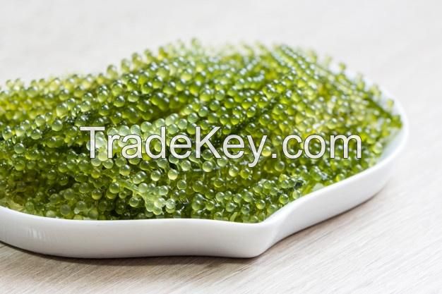 Organic Green Caviar