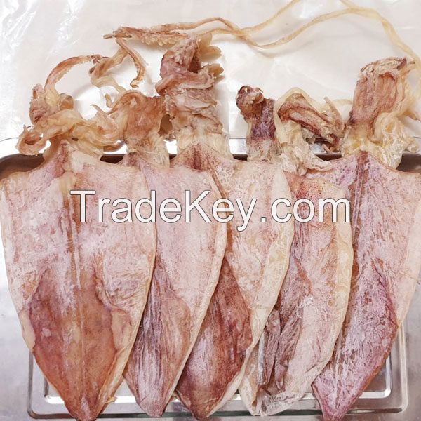 New High Quality Dried Squid Wholesale Price From Vietnam - Sven + 84 966722357
