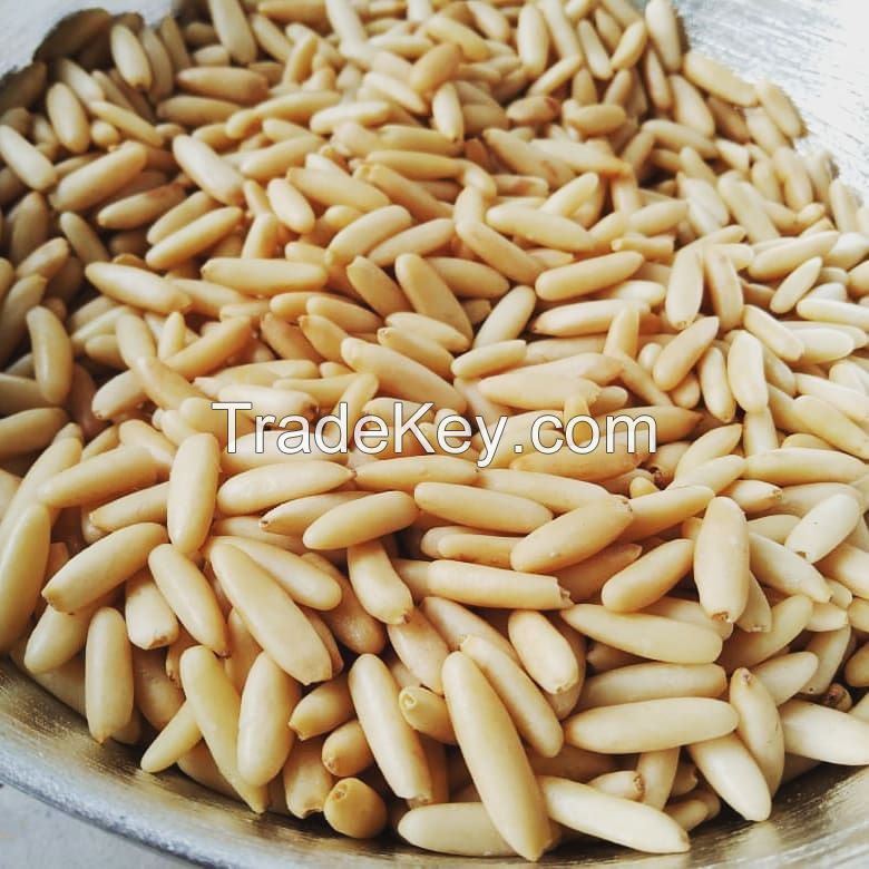 Pakistan Pine nuts kernels /Pakistan pine nuts without shell /Chilgoza kernel for sale
