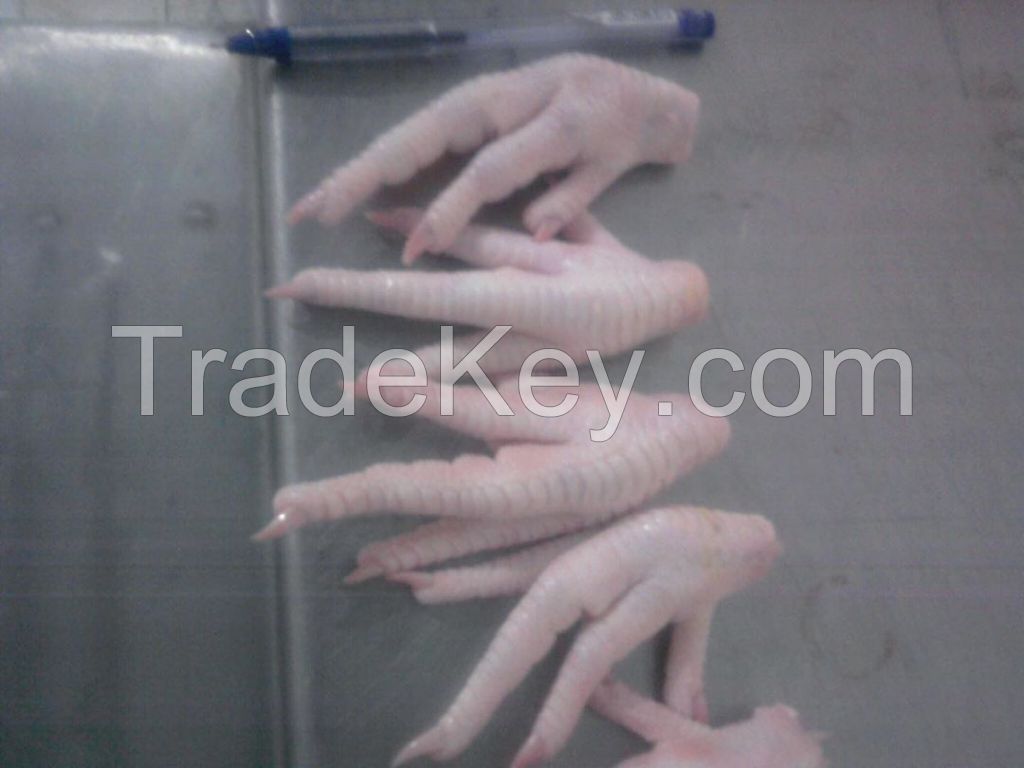 frozen chicken paw feet wholesale top grade chicken paws
