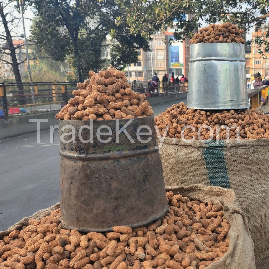 High Quality Dried New Crop Peanuts Kernel, Raw Peanuts, Groundnuts Without Shell