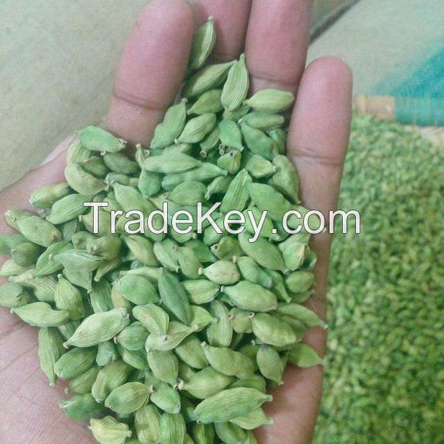 Green Cardamom Premium Whole Large Green Cardamom Fresh Quality