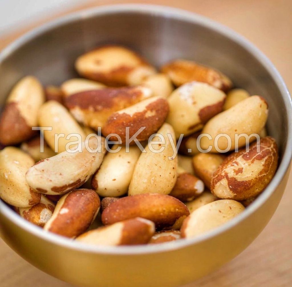 Bulk Export of Finest Quality Brazil Nuts raw