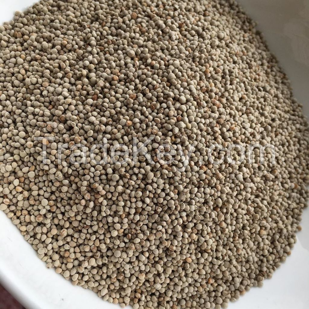 New Crop White Brown Color Hulled Perilla Seeds for Sale