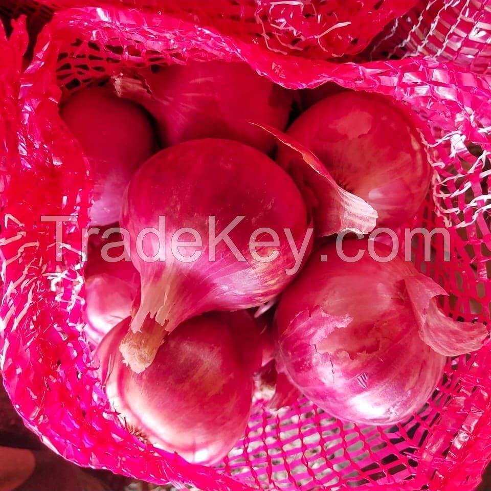 New Crop Fresh Red and Yellow Onion with Lower Price