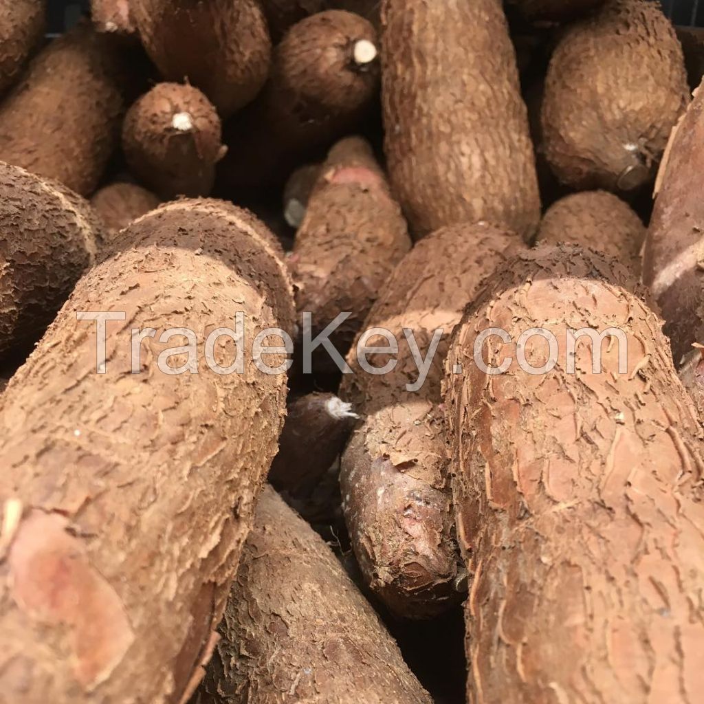 Cassava Dried Tapioca Chips / Cassava (Yuca Root) For Sale