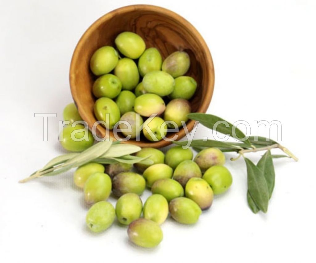 Green olive, Fresh olive Pitted Green Olives, Sliced Green Olives