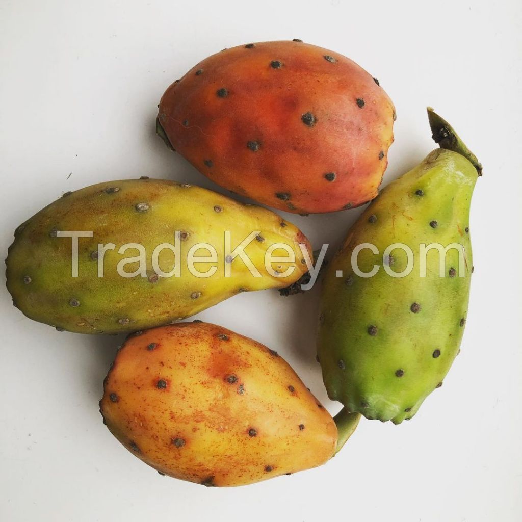 Quality Prickly pears