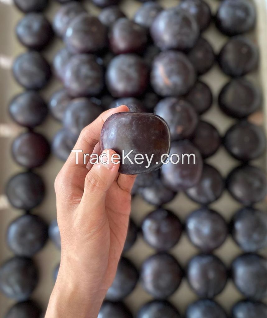 Hot sales price Fresh Plum for sale 2020