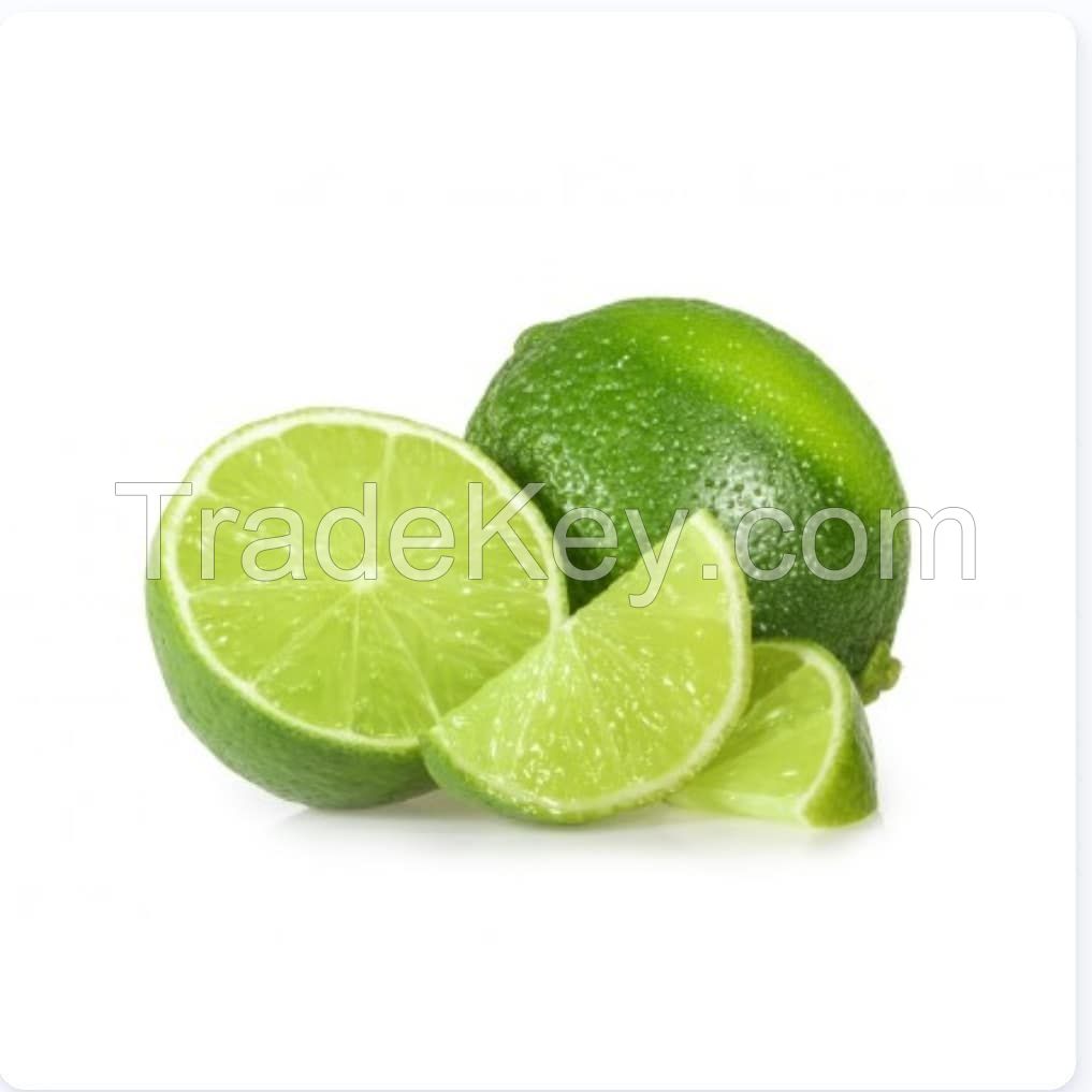 Top Quality Grade A Fresh Citrus Fruits, fresh limes and lemons