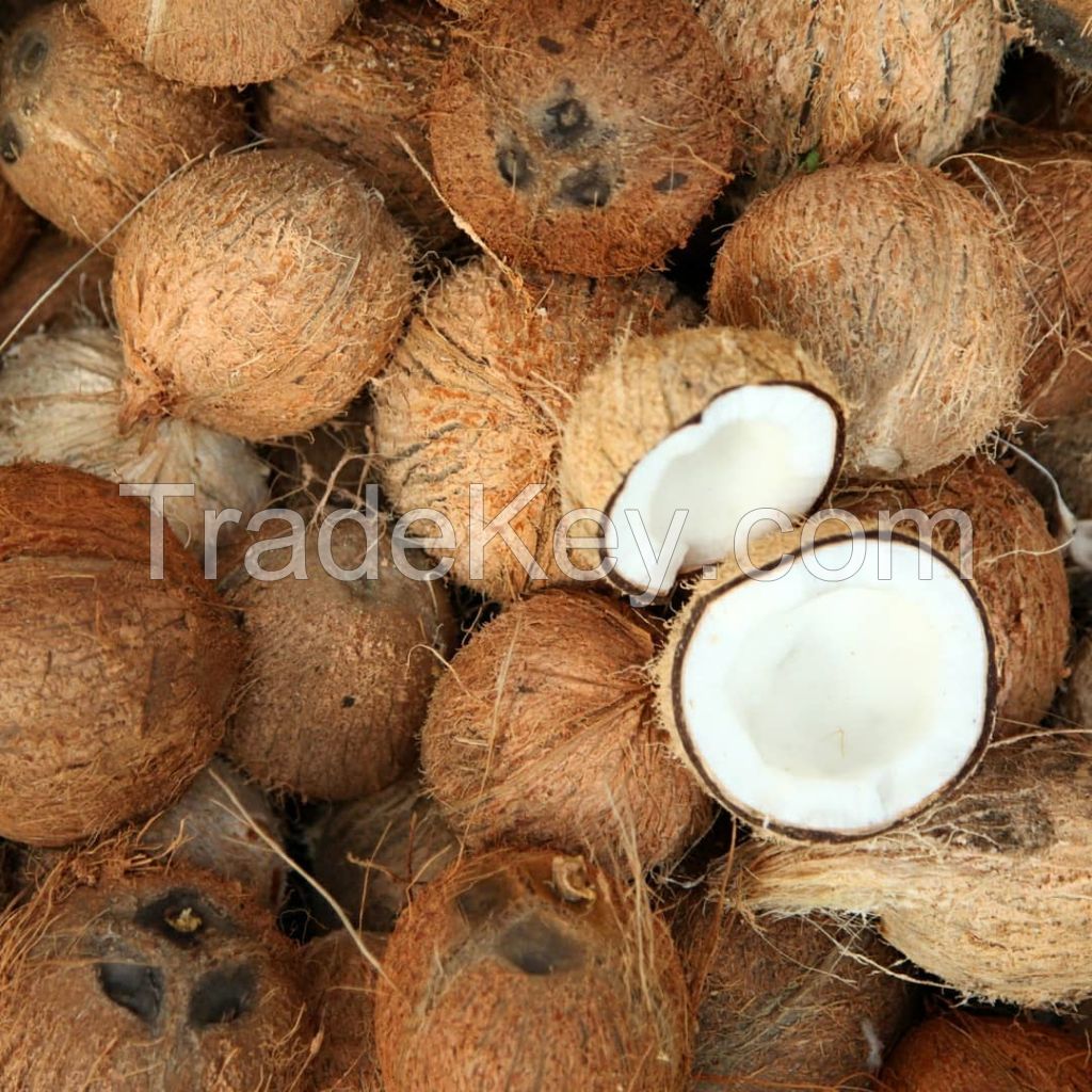 Fresh Coconuts , Semi Husk Coconuts, Fresh Baby Coconuts