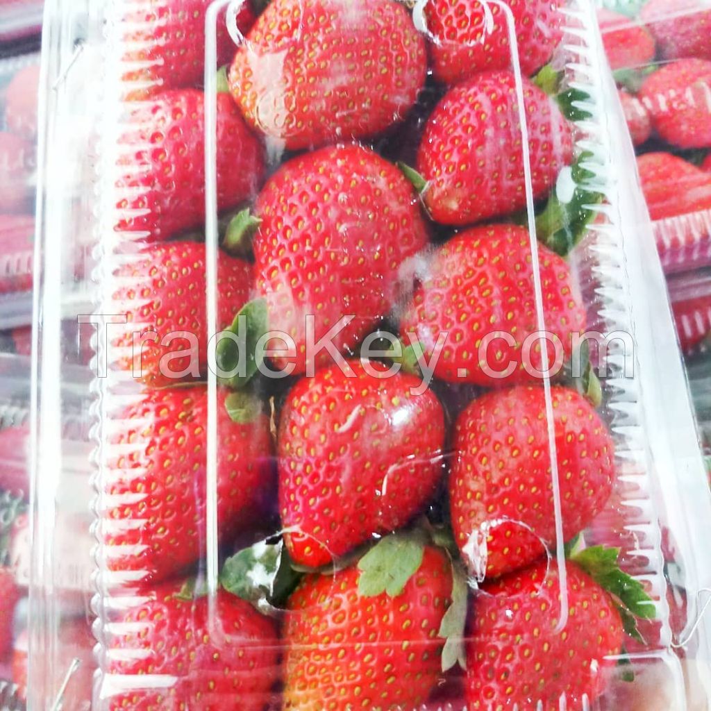 Fresh Strawberry, seedless strawberries