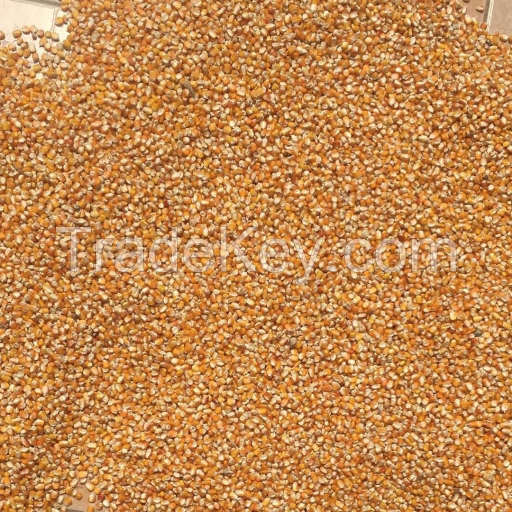 Popcorn Kernel for sale / Butterfly Popcorn and Mushroom Popcorn Kernels