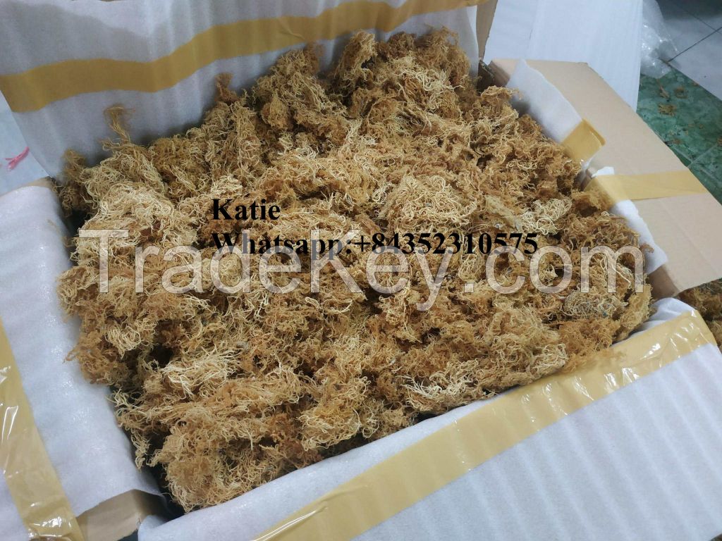 Wild crafted Irish Seamoss / Dried Sea moss from Vietnam/ Katie +84352310575