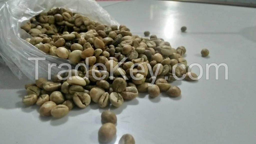 Arabica coffee Beans for sale