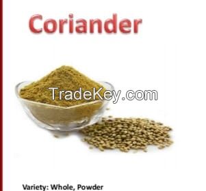 Coriander - Spices