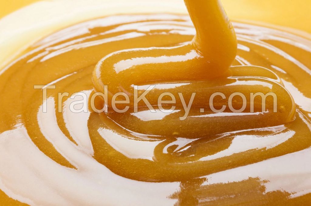 Wholesale New Zealand Natural Manuka Honey (Raw and Natural)