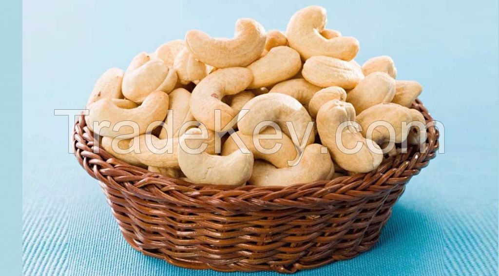 Cashew Nut Kernel