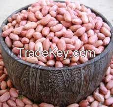 Import Export Kernel Raw Peanuts