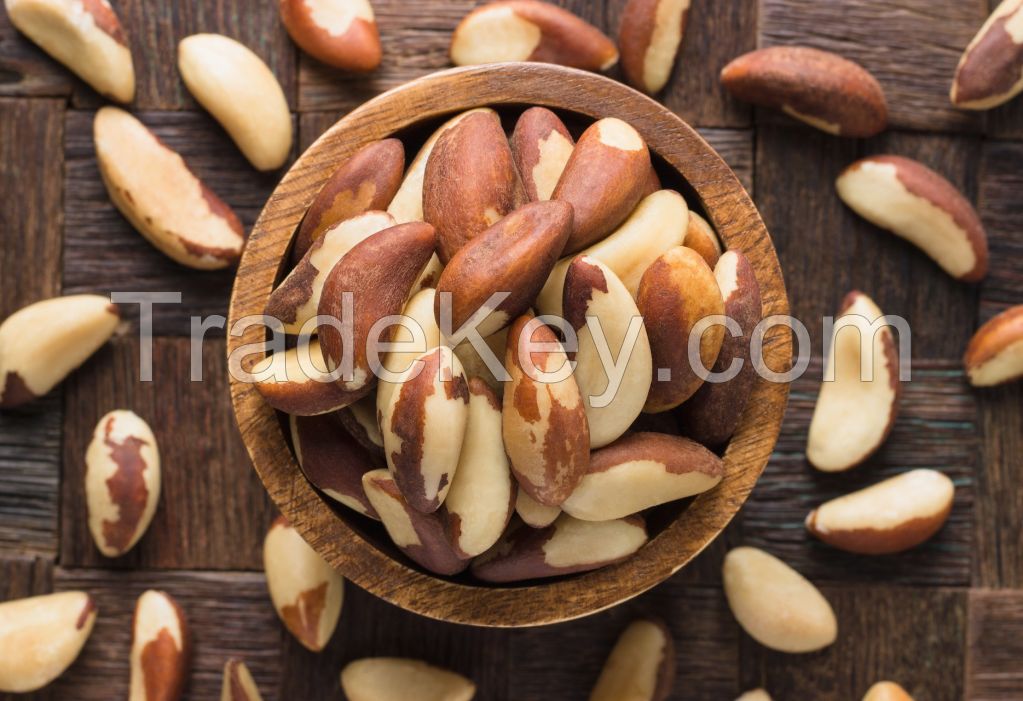 Food grade 100% natural Dried raw shelled Brazil nut