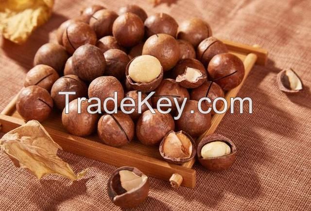 South Africa Various size Top quality healthy macadamia
