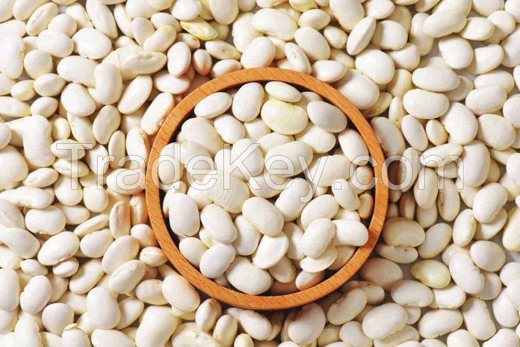 Good White kidney bean