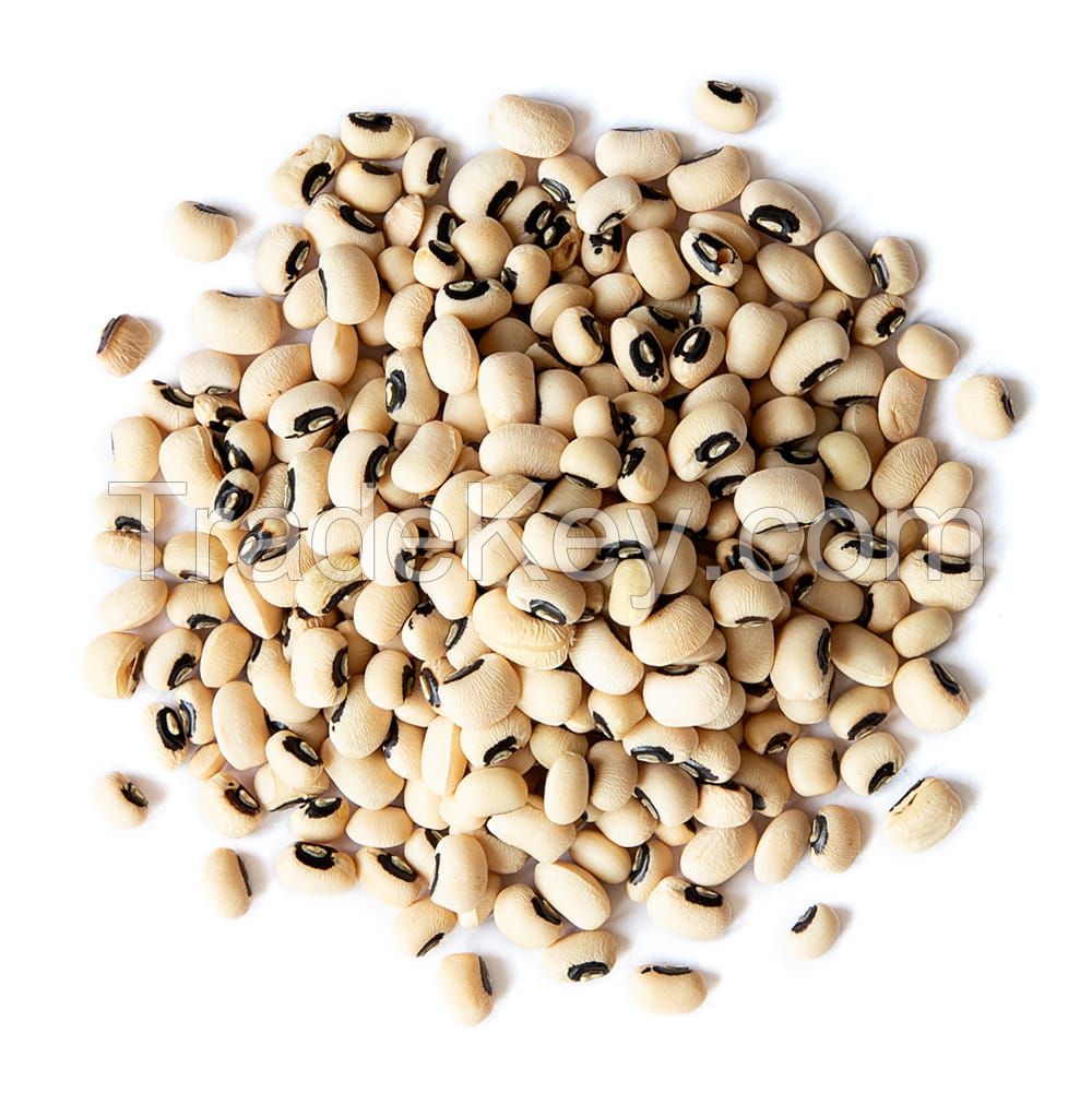 Non-GMO Black Eyed Cowpea With Best Price
