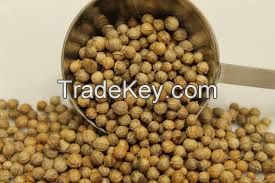 Premium Quality Dried Coriander Seed Price