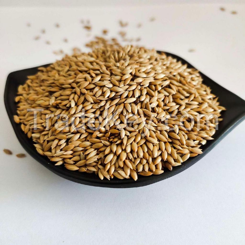 Quality Super Quality Canary Seeds