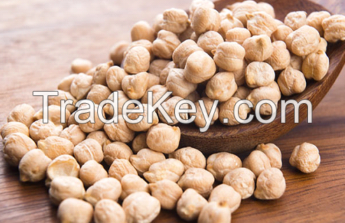 quality Dried White Chickpeas