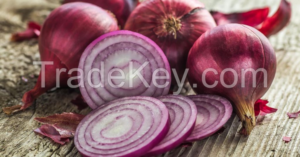 fresh onions red onion
