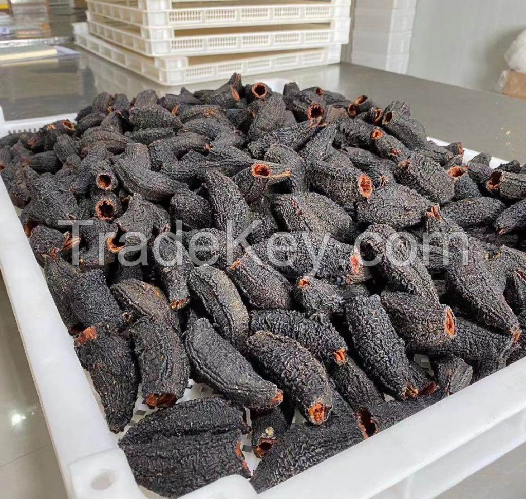 High Quality Dried and Frozen Sea Cucumber, Natural Wholesaler Sea Cucumber