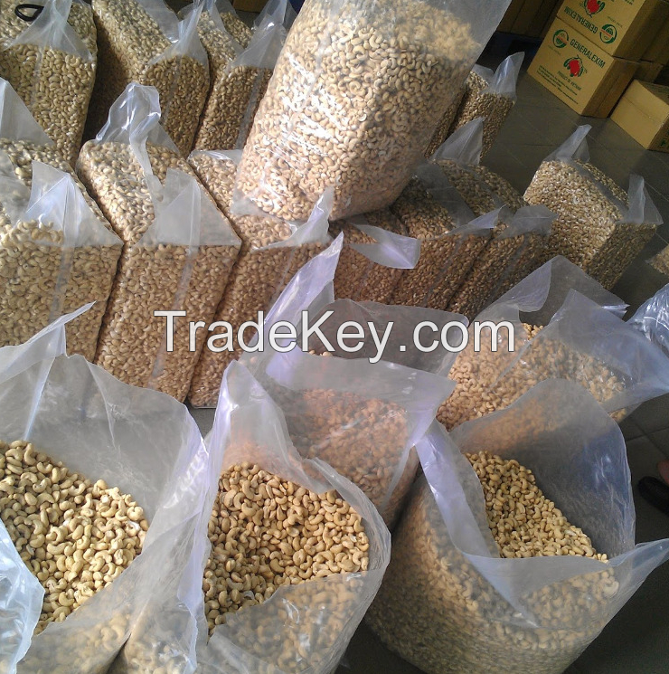 Good quality well cleaned cashew nut w240 w320 w450