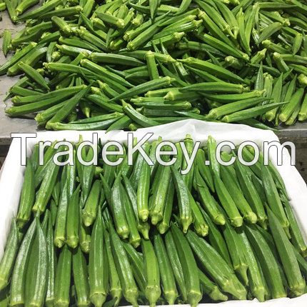 Okra