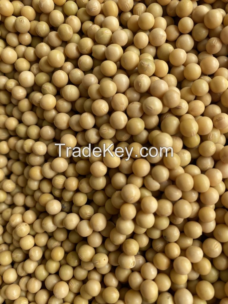 Soybeans