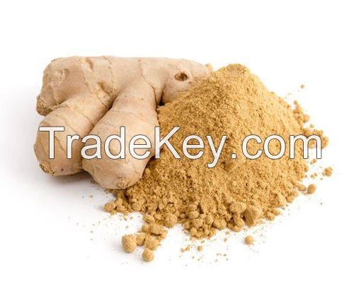 High Quality Dried Ginger powder