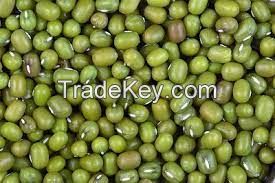 MUNG BEANS FOR SALE