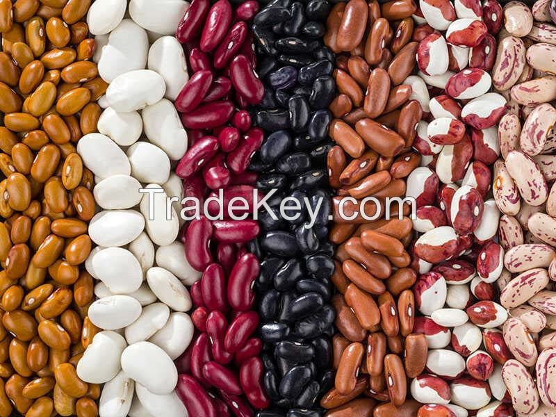 Kidney Beans