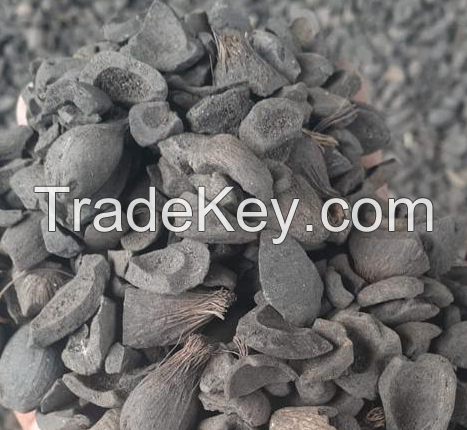 Palm Kernel Shell