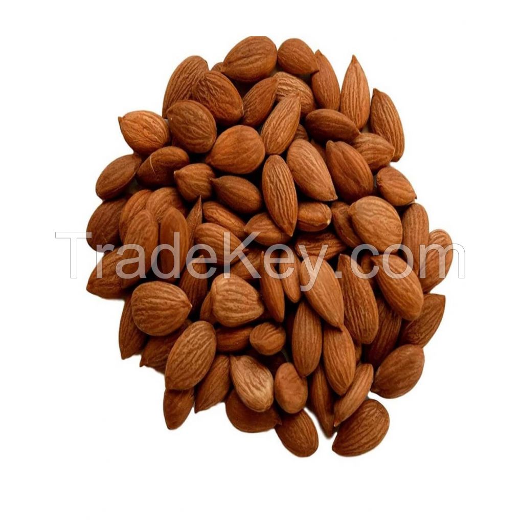 Apricot Kernel Nut Raw Apricot Kernels