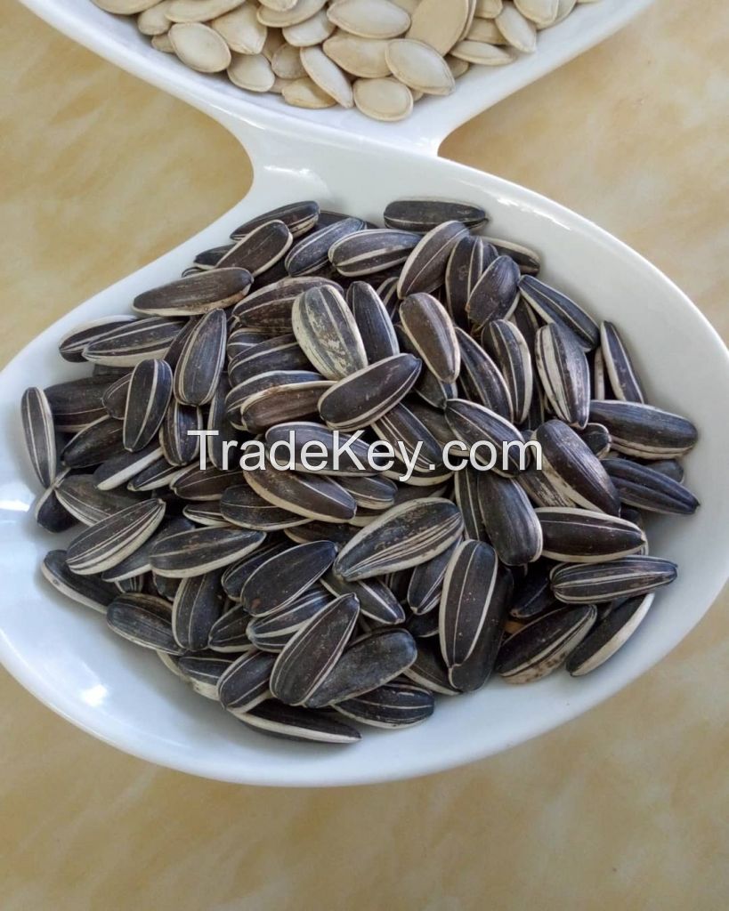 100% Organic Raw Sunflower Seeds 5009 For Sale