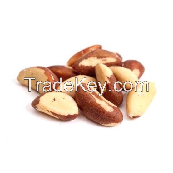 High Quality Brazil Nuts Wholesale Natural Peru 100% Pure Raw Premium Brazil Nut Bulk Packaging from PE COMMON Cultivation