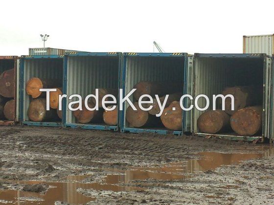 Cameroon Hardwood Timber Logs