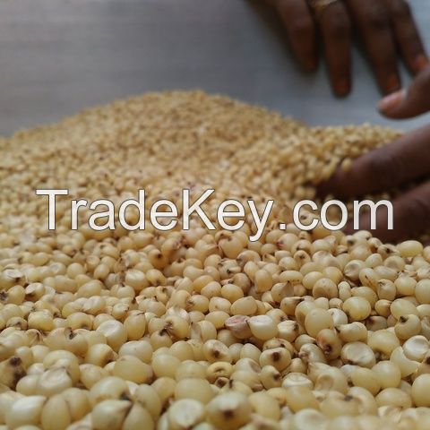 Wholesale Manufacturer of Healthy Natural Color Bulk Red White Sorghum