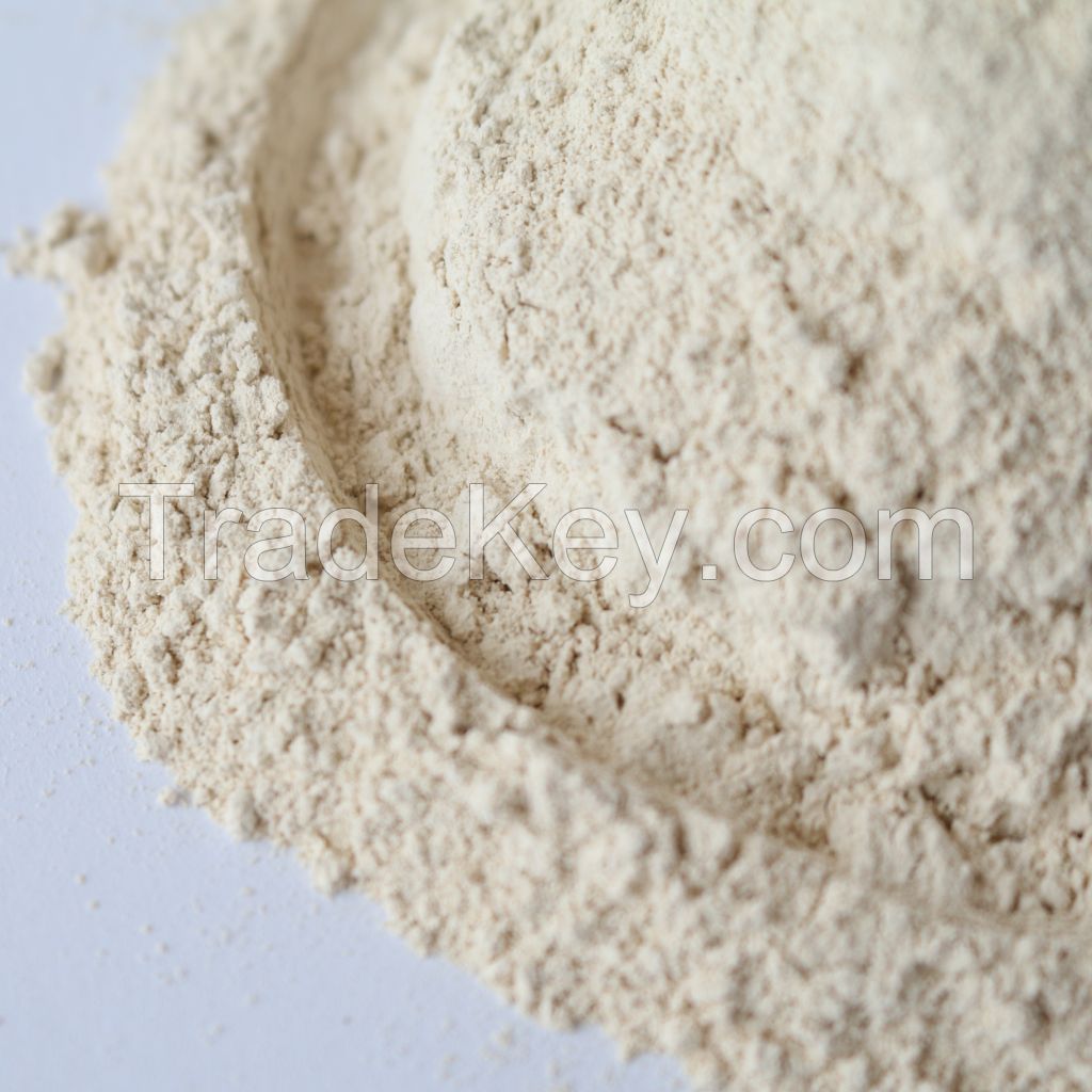 Caustic calcined magnesia powder 92% for steel making
