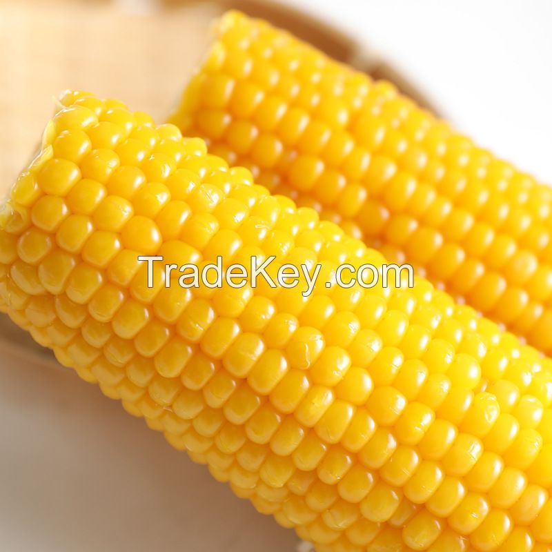 High Quality Yellow Corn Max Animal Style Storage Color Origin Type Drie