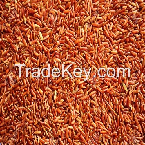 High Quality Nutritious Red Cargo Rice good for healthy