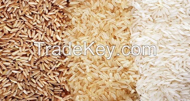 Sell Rice (Parboiled, White, Brown, Cargo, Broken.)