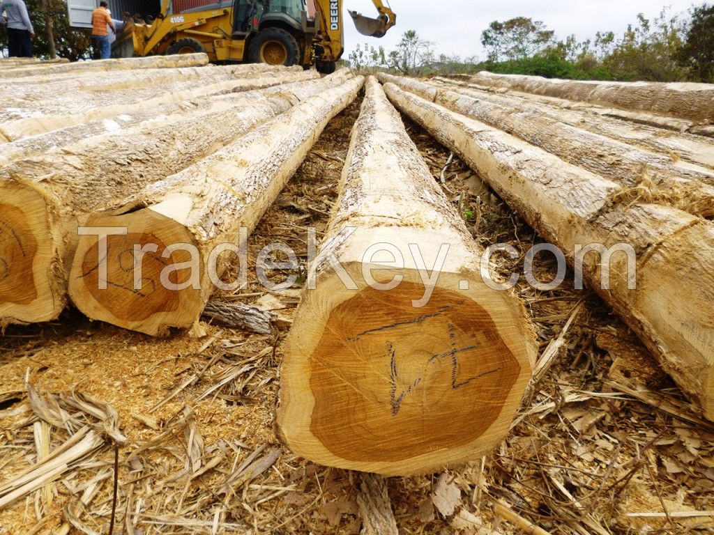 Balsa wood - Glued - Tied